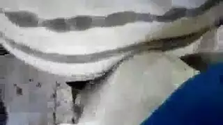 سكس في البص تحرش طلبت المدرس يابني القطر