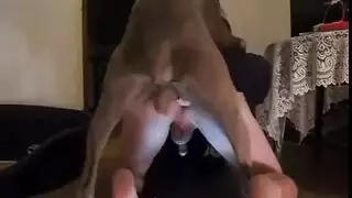 أفلام جنس حيوانات: كلب ينيك مهبل مبلل بعنف