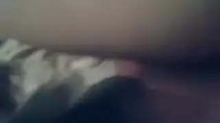 المصارعه تتحول