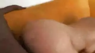 حمار شرقي تعري